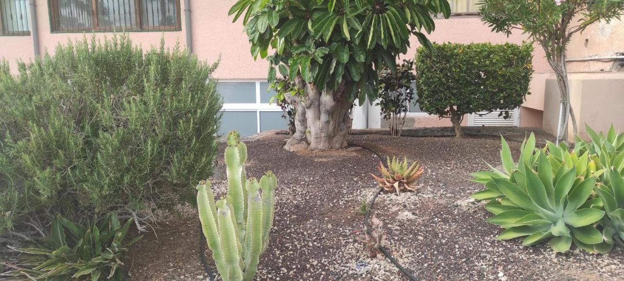 Acapulco Paradise Playa Feñabe Εξωτερικό φωτογραφία